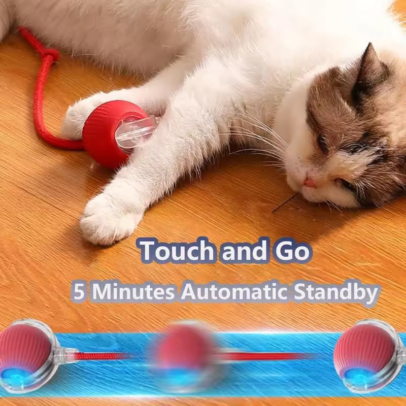 Pet Smart Bal Speeltje – Interactief Plezier voor Je Harige Vriend