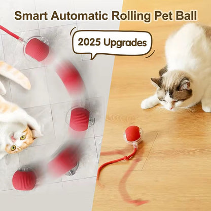 Pet Smart Bal Speeltje – Interactief Plezier voor Je Harige Vriend